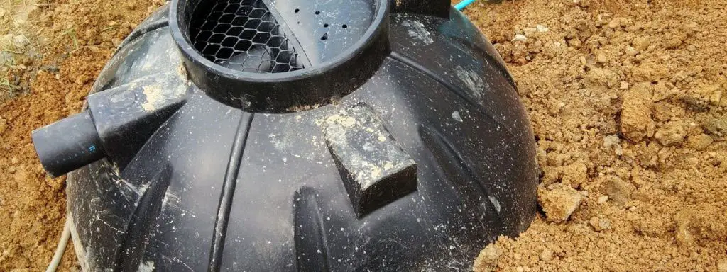 Cropped Septic Header